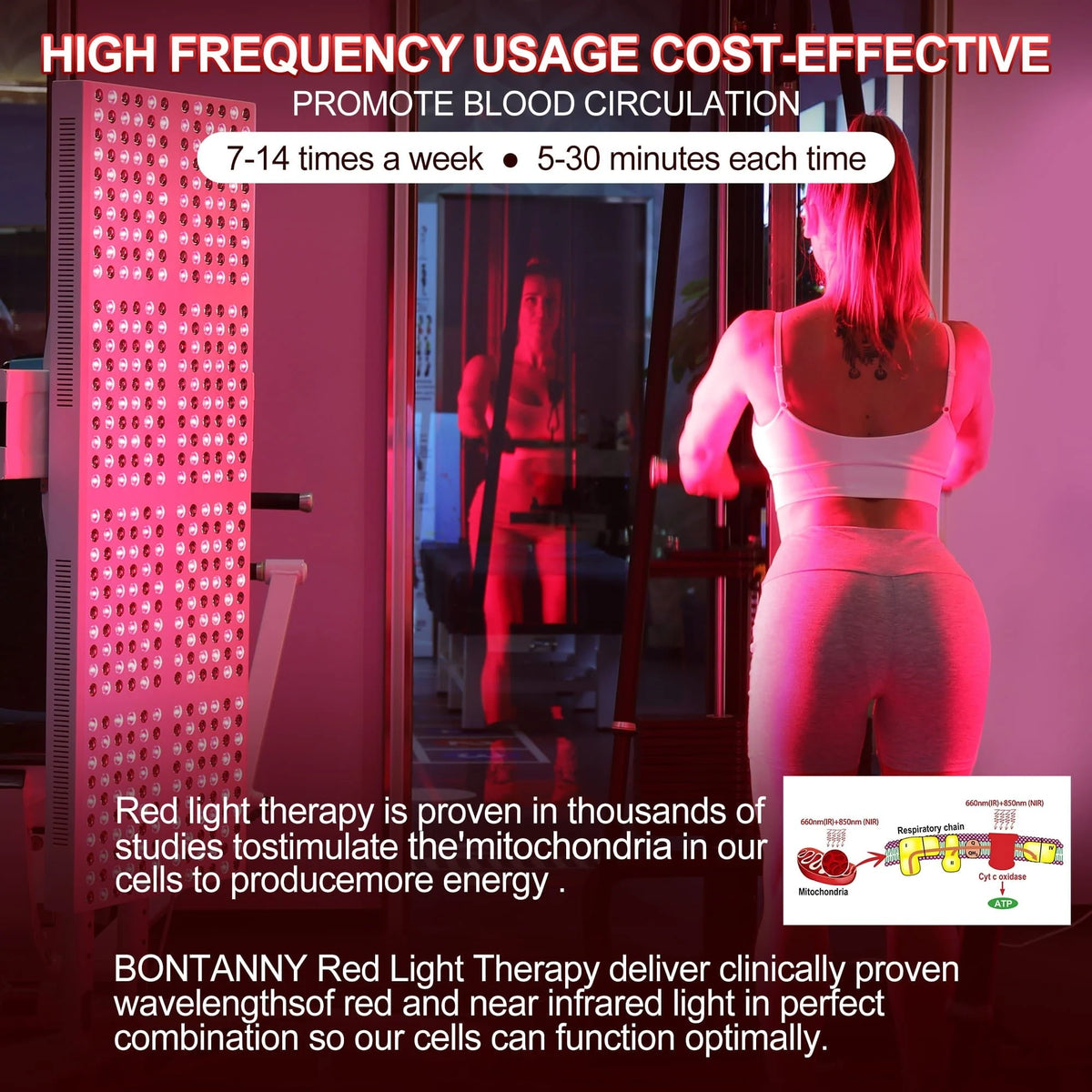 Red Light Therapy Device with Stand - Fixed-Angle Pro Series Professional Edition | Horizontal & Vertical Dual-Mode Stable Base